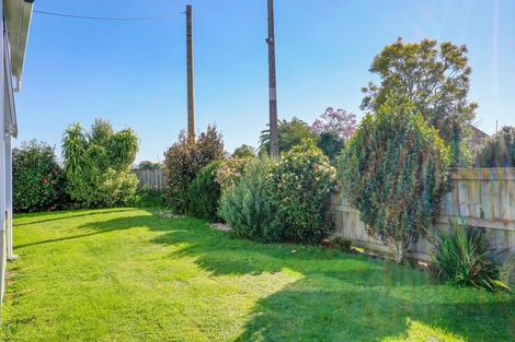 Photo of property in 38 Bridge Street, Edgecumbe, 3120