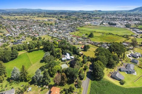 Photo of property in 885 Bond Road, Te Awamutu, 3879