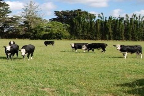 Photo of property in 749 Waitakere Road, Kumeu, 0891