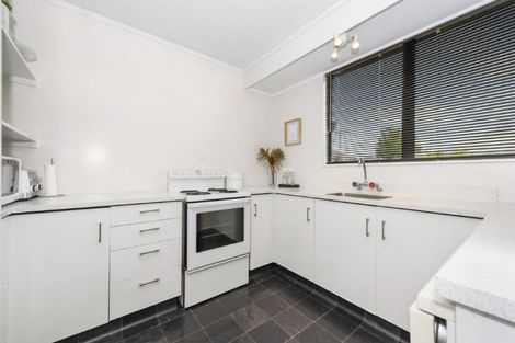 Photo of property in 15a Hinau Street, Maeroa, Hamilton, 3200