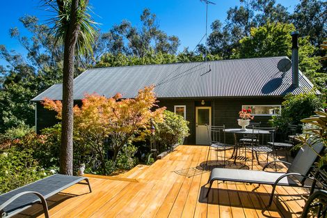 Photo of property in 55b Every Street, Andersons Bay, Dunedin, 9013