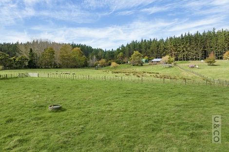 Photo of property in 293 Ararimu Valley Road, Helensville, Waimauku, 0882