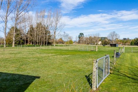 Photo of property in 16 Fergusson Street, Geraldine, 7930