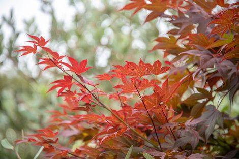 Photo of property in 65 Mahurangi East Road, Snells Beach, Warkworth, 0982