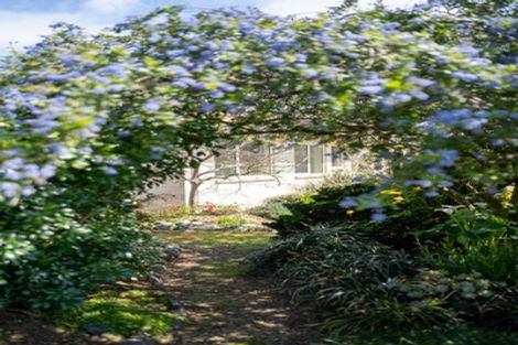 Photo of property in 13 Hogan Road, Cambridge, 3493