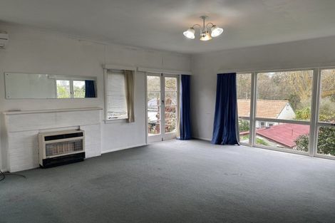 Photo of property in 20 Hillsborough Terrace, Hamilton Central, Hamilton, 3204