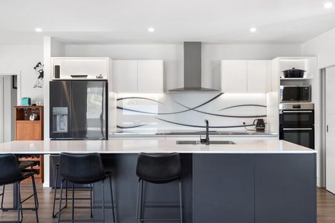 Photo of property in 6 Arion Court, Mount Pisa, Cromwell, 9383