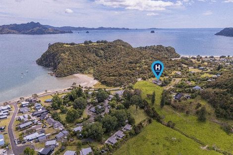Photo of property in 995f Purangi Road, Cooks Beach, Whitianga, 3591