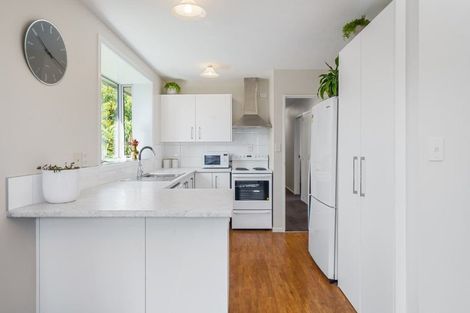 Photo of property in 11b Strickland Street, Sydenham, Christchurch, 8023