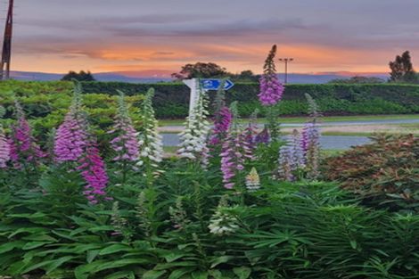 Photo of property in 60 Wylam Street, Waikaia, 9778