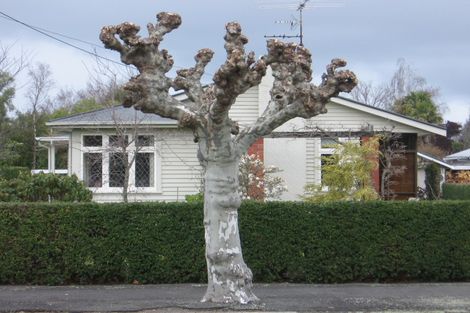 Photo of property in 103 Renall Street, Masterton, 5810