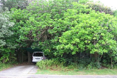 Photo of property in 61 Hillcrest Avenue, Hillcrest, Auckland, 0627