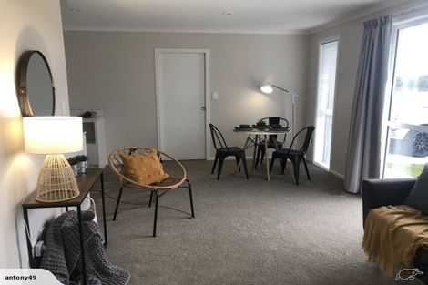 Photo of property in 87 Hinemoa Street, Levin, 5510