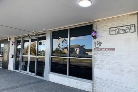 Photo of property in 87 Puhinui Road, Papatoetoe, Auckland, 2104