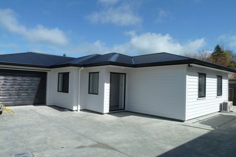 Photo of property in 32a Seddon Street, Takaro, Palmerston North, 4412