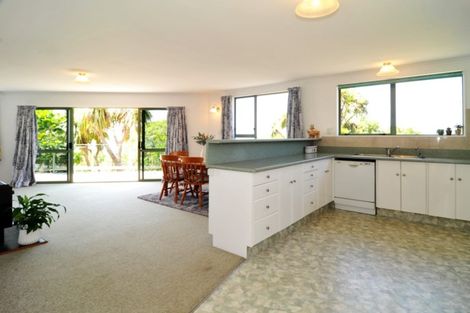 Photo of property in 152 Shag Point Road, Shag Point, Palmerston, 9482