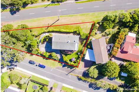 Photo of property in 39 Shetland Street, Glen Eden, Auckland, 0602