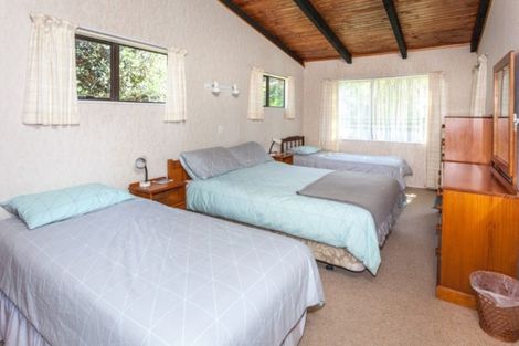 Photo of property in 111 Tuna Place, Onemana, Whangamata, 3691