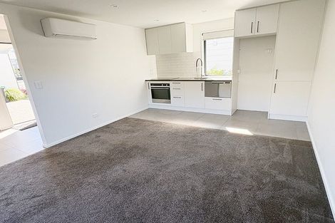 Photo of property in 2/48 Buffon Street, Waltham, Christchurch, 8023