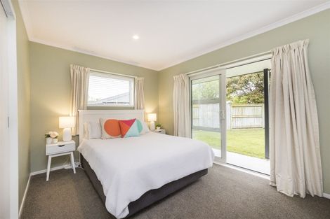 Photo of property in 137 Oxford Street, Ashhurst, 4810