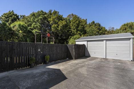 Photo of property in 4 Ariel Street, Stratford, 4332