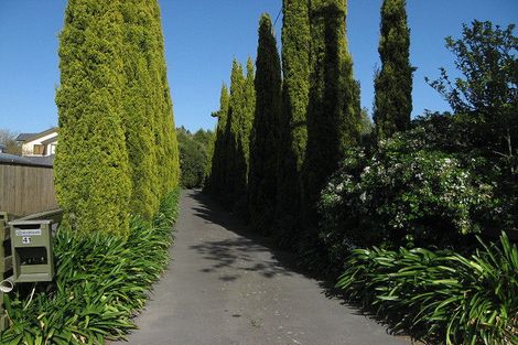 Photo of property in 41 Colemans Road, Springlands, Blenheim, 7201