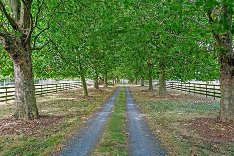 Photo of property in 1204 Kaipaki Road, Cambridge, 3495