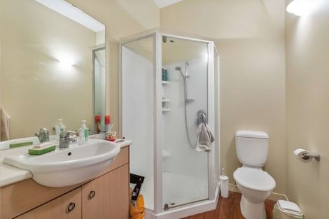 Photo of property in 3/30 Hanson Street, Mount Cook, Wellington, 6021