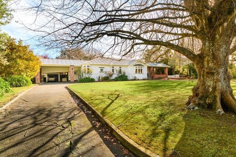 Photo of property in 18 Skerman Street, Marton, 4710