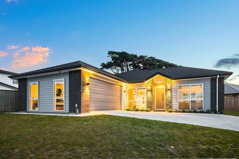 Photo of property in 65 Queen Charlotte Drive, Aotea, Porirua, 5024