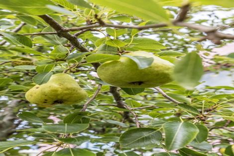 Photo of property in 173 Grant Road, Thorndon, Wellington, 6011