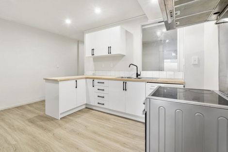 Photo of property in 195a Vivian Street, Te Aro, Wellington, 6011