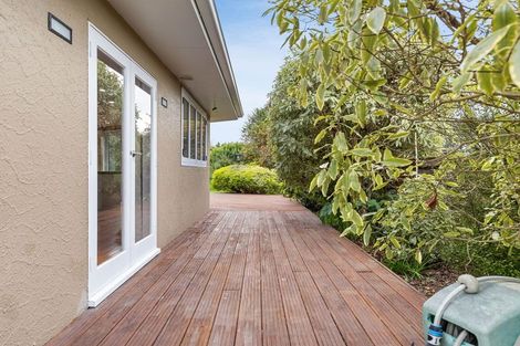 Photo of property in 9 Patea Place, Terrace End, Palmerston North, 4410