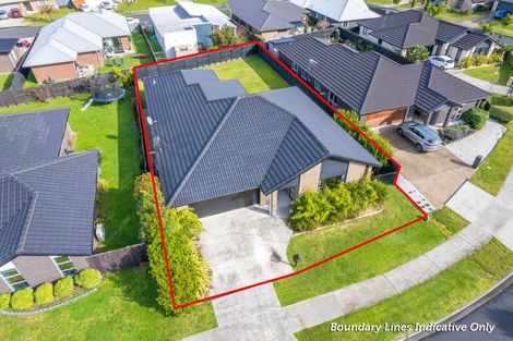 Photo of property in 8 Ladeira Place, Fitzroy, Hamilton, 3206