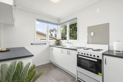 Photo of property in 132 Fairview Street, Chartwell, Hamilton, 3210