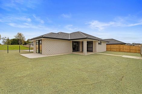 Photo of property in 38 Murray Ward Drive, Te Kauwhata, 3710