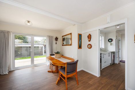 Photo of property in 393 Ruahine Street, Terrace End, Palmerston North, 4410