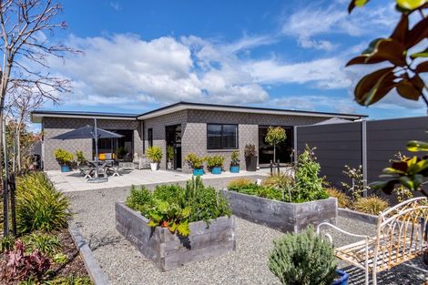 Photo of property in 16 Plains Avenue, Masterton, 5810