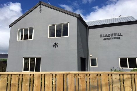 Photo of property in 9c Peachgrove Road, Hamilton East, Hamilton, 3216