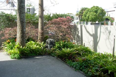 Photo of property in 79a St Marys Road, Saint Marys Bay, Auckland, 1011
