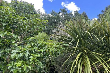 Photo of property in 568 Brown Road, Mangawhai, Kaiwaka, 0573