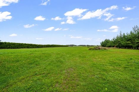 Photo of property in 175 Fairweather Road, Mill Road, Invercargill, 9872