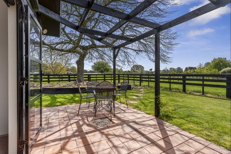 Photo of property in 43 Forrest Road, Cambridge, 3493