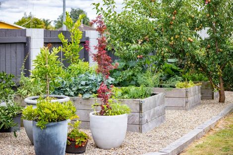 Photo of property in 1b Tomin Road, Glenview, Hamilton, 3206