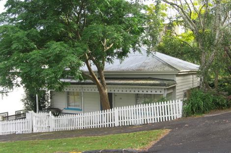 Photo of property in 15 Alexander Street, Kingsland, Auckland, 1021
