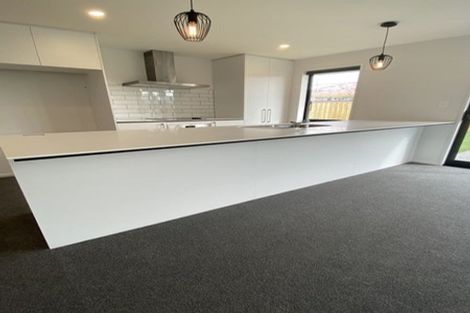 Photo of property in 47 Bonecrusher Street, Lincoln, 7608