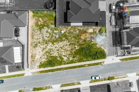 Photo of property in 9 Te Ara O Toroa, Wainuiomata, Lower Hutt, 5014