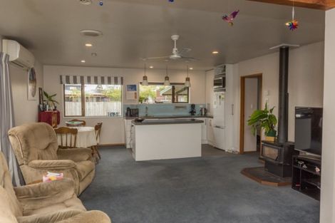 Photo of property in 51 Racecourse Avenue, Methven, 7730