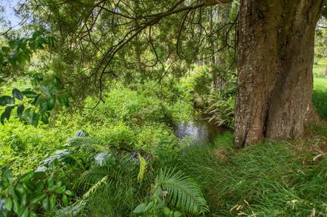 Photo of property in 150 Dimmock Road, Waitakaruru, Ngatea, 2471