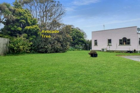 Photo of property in 87 South Road, Manaia, 4612